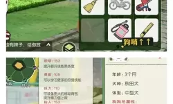 小森生活稀有狗怎么获取？  小森生活稀有伙伴兑换方法！