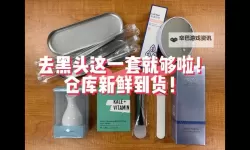 拔擦拨擦华人免费：探索华人社区的免费服务与资源