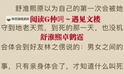 卓鹤霆与舒淮熙的难忘邂逅：青春岁月中的温暖故事