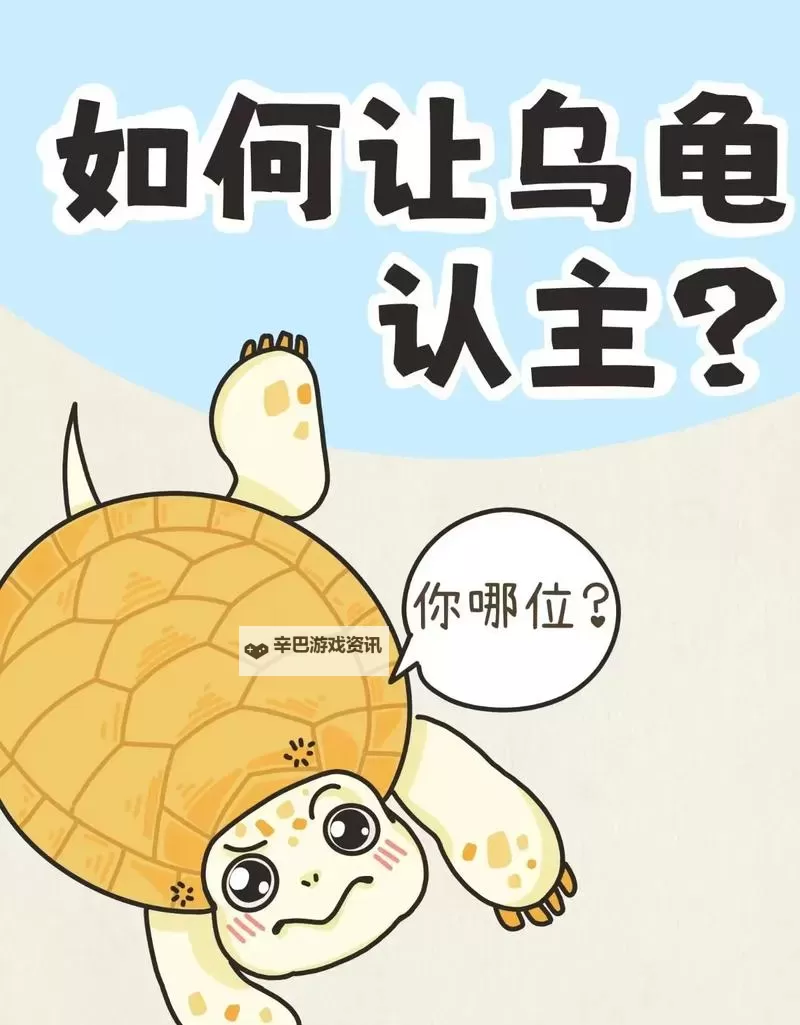 怎么降低龟灵敏度的方法：有效技巧与实用指南图1