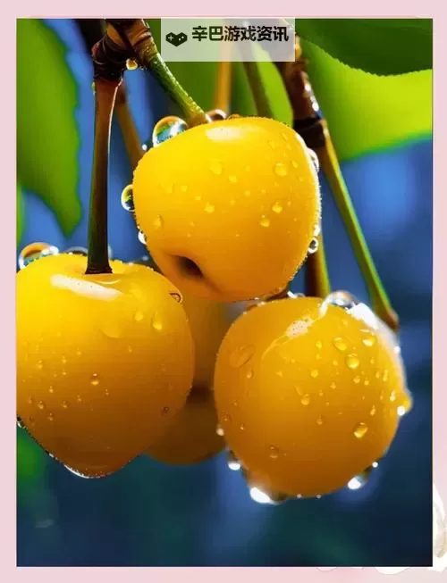 揭秘樱桃黄色网址:安全使用指南与注意事项图1