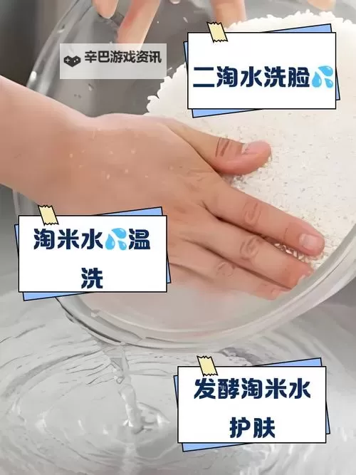 用什么水淘米最好？专业推荐帮你轻松选出最佳淘米水图1