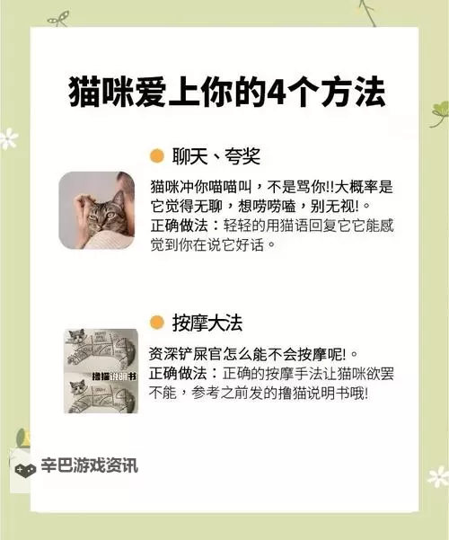 爱爱猫咪成人网：探索萌宠与成人内容的另类世界图1