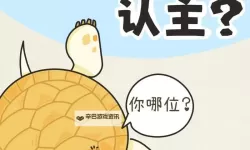 怎么降低龟灵敏度的方法：有效技巧与实用指南