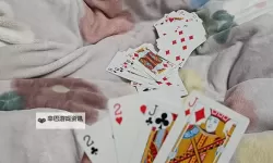 在床上打扑克不盖被子全程高清：享受纯粹的游戏时光