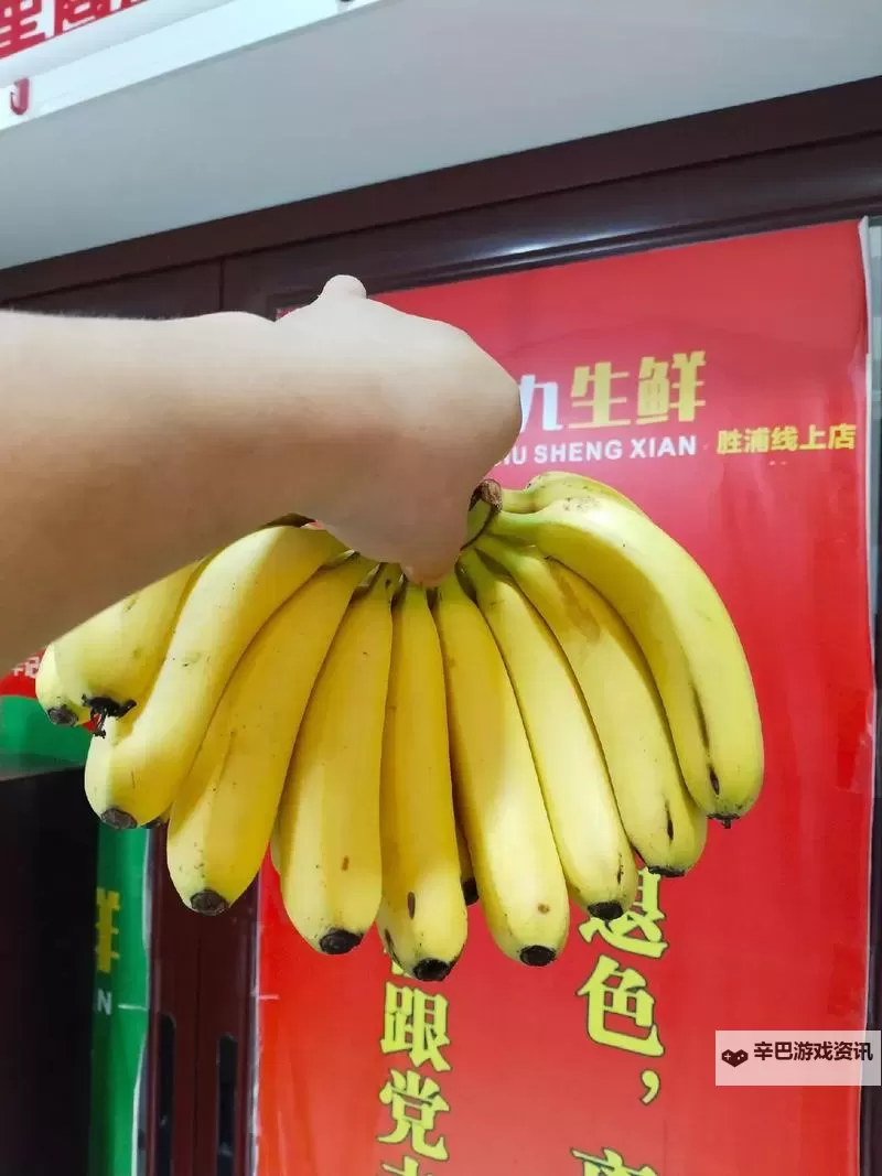 探索无限精彩:最新精品香蕉在线尽享优质体验图1