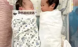 二人生娃全程免费：幸福家庭新福利全揭秘