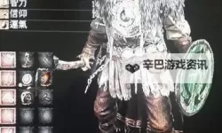 《黑暗之魂3》近战、法师及咒术师加点推荐 均衡流怎么加点