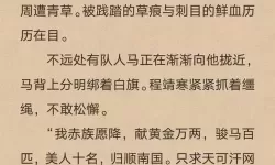 【小说推荐】赵剑翎杨清越TXT全文阅读，尽享精彩故事全章节免费下载