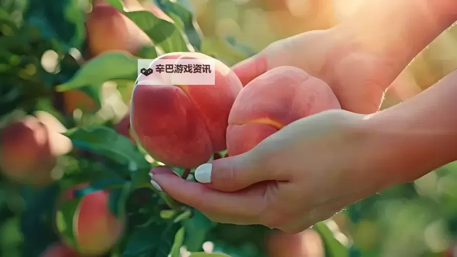 桃子视频污在线：最新精彩内容免费观看指南图1