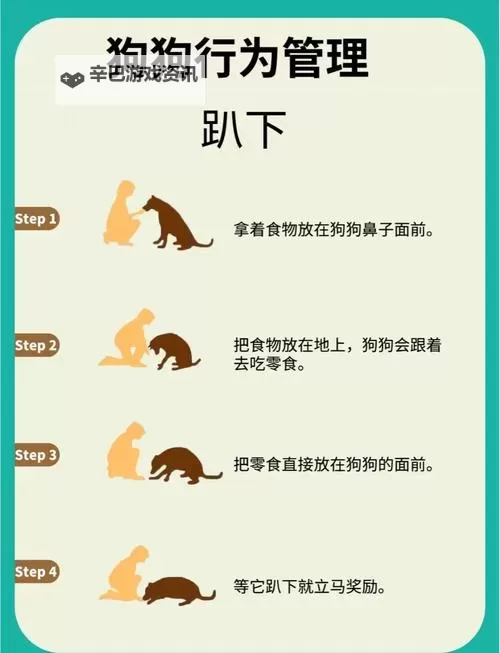 怎么让狗狗进入自己的房间门的技巧与方法图1