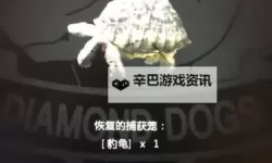 《合金装备5幻痛》豹纹陆龟抓取方法介绍 豹纹陆龟怎么抓