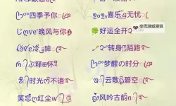 精选2024永久地域网名大全：创意十足的名字推荐