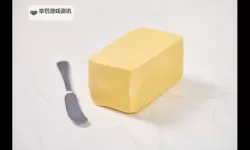 探索无限可能：解密8x8x黄游的奇幻世界