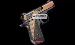 《森林之子》9毫米手枪获取攻略 森林之子手枪在哪