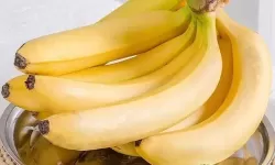 在线观看高清资源尽在www.5.香蕉视频——您的最佳选择