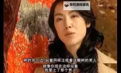 免费看中文字幕激情五码在线，尽享极致视听盛宴