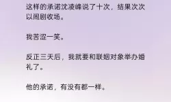 岳婿合体沈绝的小说：天作之合的绝世传奇