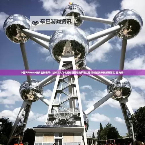 中国青年GARY东北打桩:新时代青年的坚韧与奋斗图1