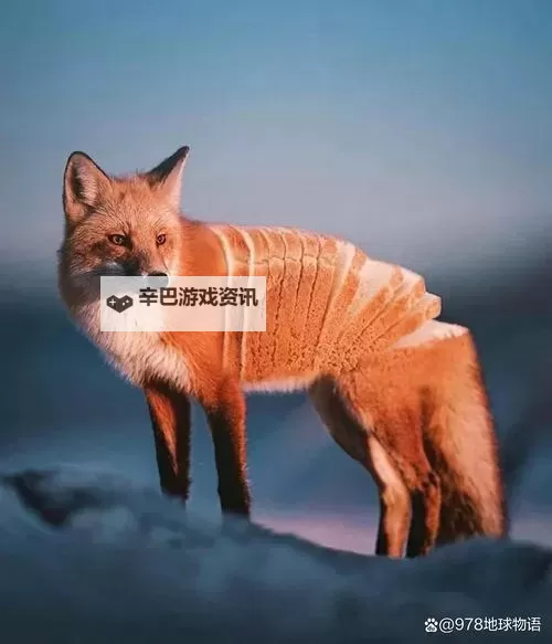 水莓100在线永久防免费视频:完整观看指南与最新资源推荐图2