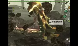 《怪物猎人X》全猎猫技效果一览 怪物猎人X猎猫技能解锁方法