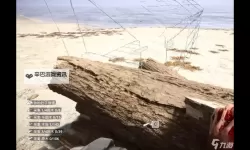 《森林之子》无限刷木头方法教学 森林之子怎么刷木头