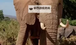 水莓100在线永久防免费视频：完整观看指南与最新资源推荐