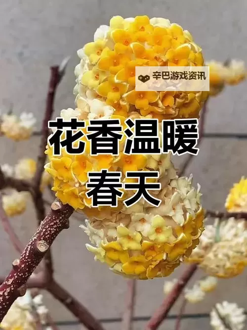 大明东厂双开神器 轻松一键搞定大明东厂挂机双开图1