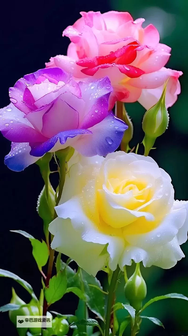 最新发布：9612黄桃视频ios在线播放免费在线观看精彩内容图1