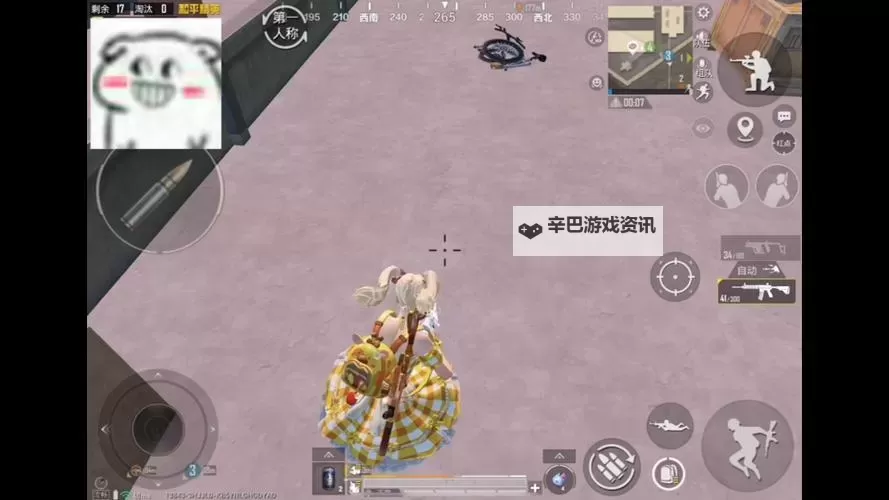 和平精英向日葵直装全新上线，打造阳光战场体验图1