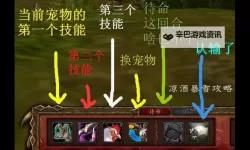 《魔兽世界》四风谷宠物对战练级方法分享