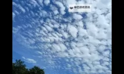 《NBA2K16》MC修改面补方法 NBA2K16怎么修改面补