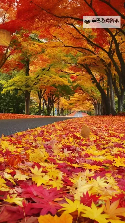 探索全新娱乐体验:X8X8拨牐拨牐X8免费视频8文字全解析图1