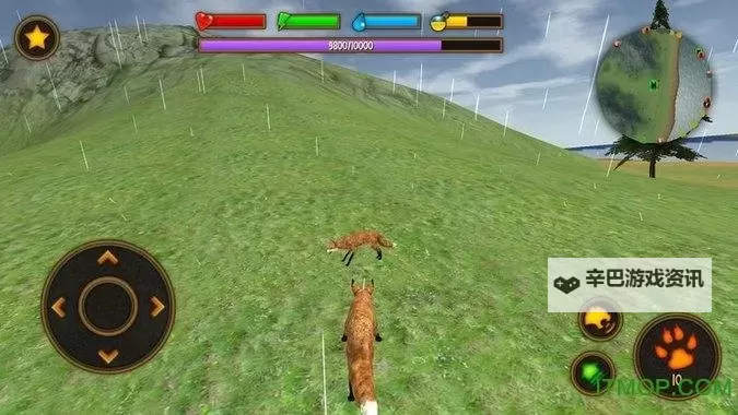 【最新资源】野性首尔下载:畅享原汁原味的都市野性体验图1