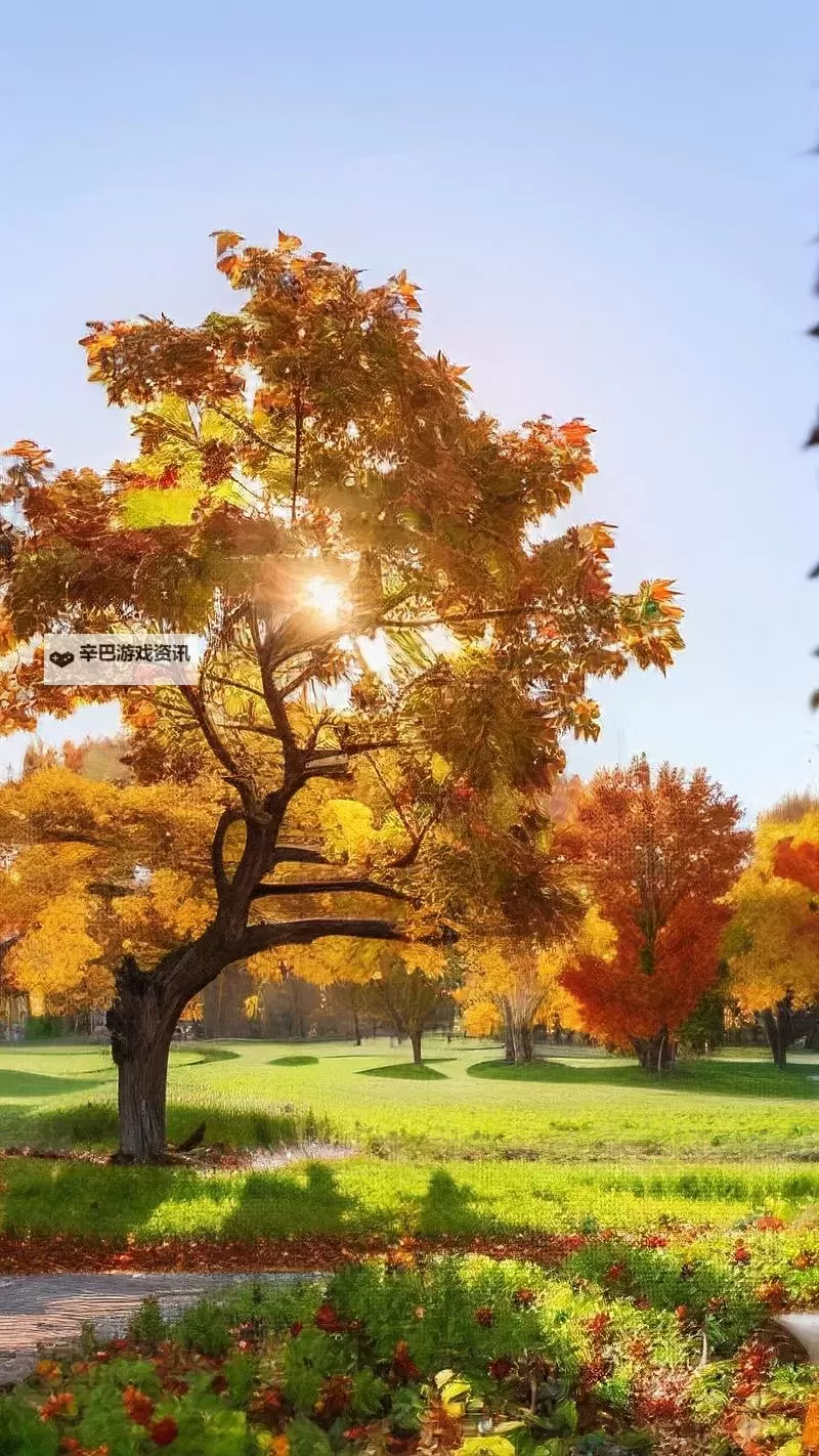 探索全新娱乐体验:X8X8拨牐拨牐X8免费视频8文字全解析图2