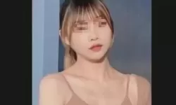 玩偶姐姐陪玩伦理视频在线观看在线观看：完整高清正版免费看