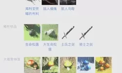 《塞尔达传说荒野之息》全支线任务日英名对照表