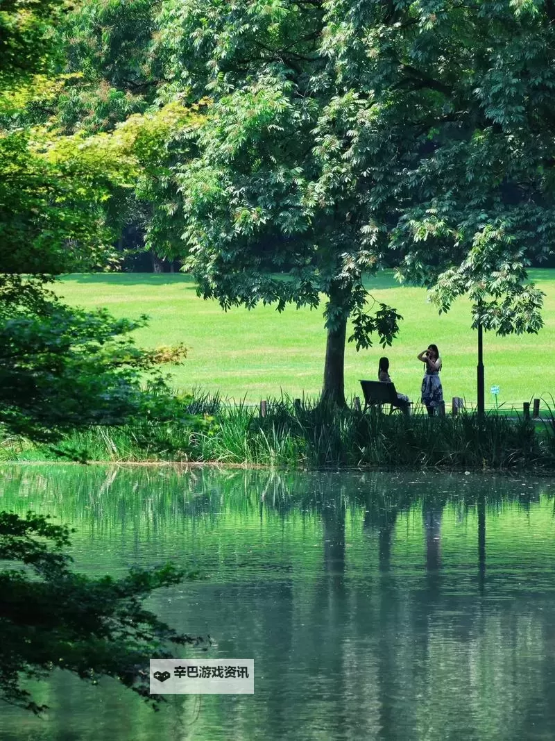 探索中文字幕一区二区三区四区:最新资源与热点内容解析图1