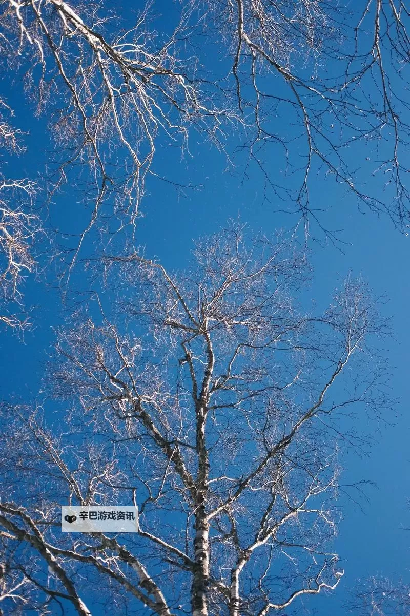 大都督双开挂机软件推荐 怎么双开大都督详细图文教程图1