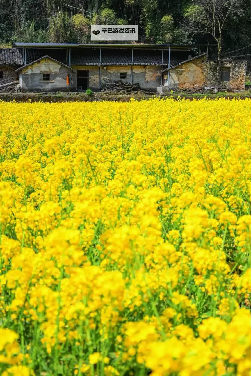 废土2 强制修理罗迪亚电塔小技巧图2