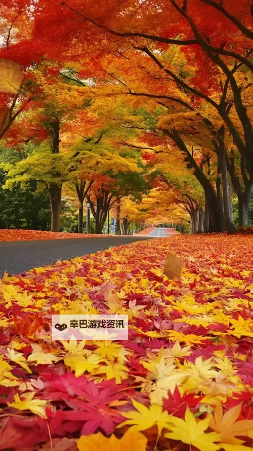 探索全新娱乐体验:X8X8拨牐拨牐X8免费视频8文字全解析图1