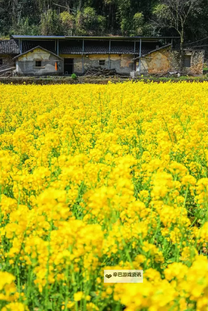 废土2 强制修理罗迪亚电塔小技巧图2