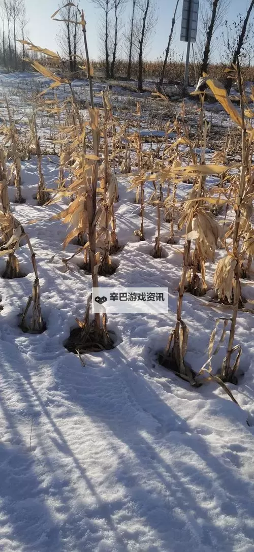 大都督双开挂机软件推荐 怎么双开大都督详细图文教程图2