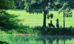 探索中文字幕一区二区三区四区：最新资源与热点内容解析