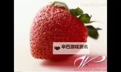 探索精彩内容：草莓视频男人影院带你畅享极致体验