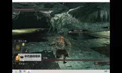 黑暗之魂2 三周目罪龙无伤心得