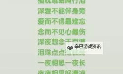 男人和女人一起相愁愁愁：爱与忧的交织之歌