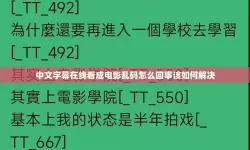 解决方案推荐：免费在线观看中文字幕乱码在线播放的技巧与方法
