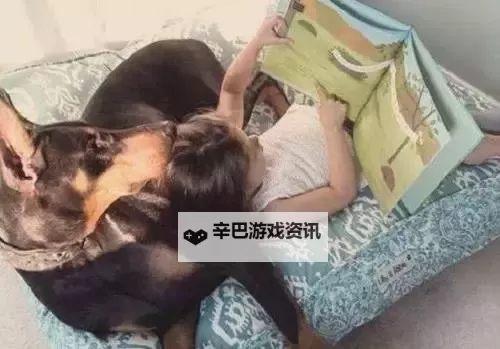 女人喝酒不小心狗做爱事件引发网络热议图1