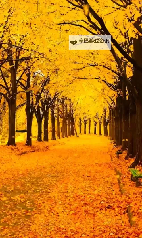 《勇者斗恶龙英雄2》小金币获得方法及兑换道具一览 小金币怎么获得图2